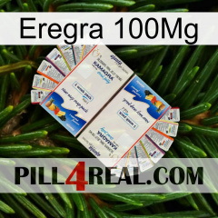 Eregra 100Mg kamagra1